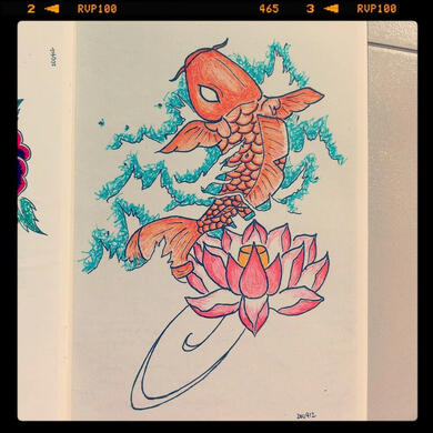 koi practice