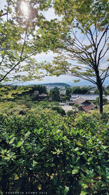 Higashiyama Jisho-Ji 2